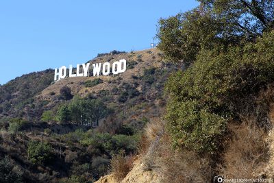 The Hollywood Lettering