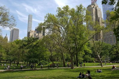 Der Central Park