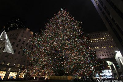 The Christmas Tree at Rockefeller Center