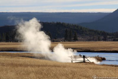 Steam, Lower Geyser Basin, Yellowstone National Park, USA, On Your Own, Attractions, UNESCO World Heritage, TravelReport
