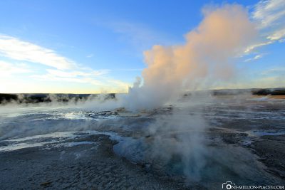 Steaming Fields, Lower Geyser Basin, Yellowstone National Park, USA, Own, Attractions, UNESCO World Heritage, Travelreport