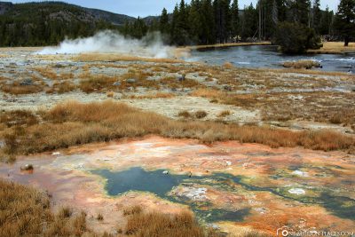 Lower Geyser Basin, Yellowstone National Park, USA, On Your Own, Attractions, UNESCO World Heritage, Travel Report
