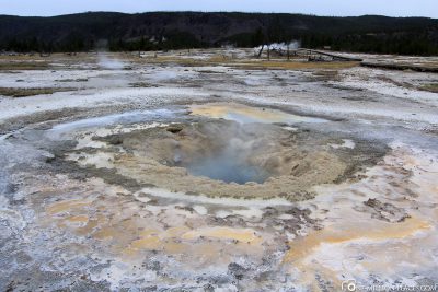 Lower Geyser Basin, Yellowstone National Park, USA, On Your Own, Attractions, UNESCO World Heritage, Travel Report