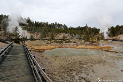 Way, Mud Volcano Area, Yellowstone National Park, USA, On Your Own, Attractions, UNESCO World Heritage, TravelReport