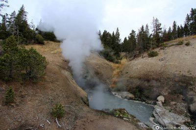 Steam, Mud Volcano Area, Yellowstone National Park, USA, On Your Own, Attractions, UNESCO World Heritage, TravelReport
