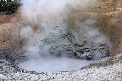 Mud Hole, Mud Volcano Area, Yellowstone National Park, USA, On Your Own, Attractions, UNESCO World Heritage, TravelReport