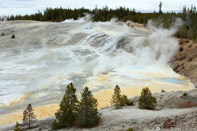 Norris Geyser Bassin, Yellowstone National Park, USA, On Your Own, Attractions, UNESCO World Heritage, Travelreport