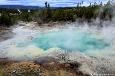 Lake, Norris Geyser Bassin, Yellowstone National Park, USA, On Your Own, Attractions, UNESCO World Heritage, TravelReport