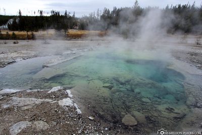 Norris Geyser Bassin, Yellowstone National Park, USA, On Your Own, Attractions, UNESCO World Heritage, Travelreport