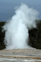 Fountain, Old Faithful Geyser, Yellowstone National Park, USA, On Your Own, Attractions, UNESCO World Heritage, Travelreport