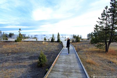 Hiking Trail, West Thumb Geyser Basin, Yellowstone National Park, USA, Own, Attractions, UNESCO World Heritage, Travel Report