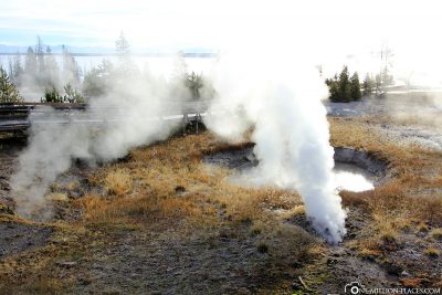 Steam, West Thumb Geyser Basin, Yellowstone National Park, USA, On Your Own, Attractions, UNESCO World Heritage, TravelReport