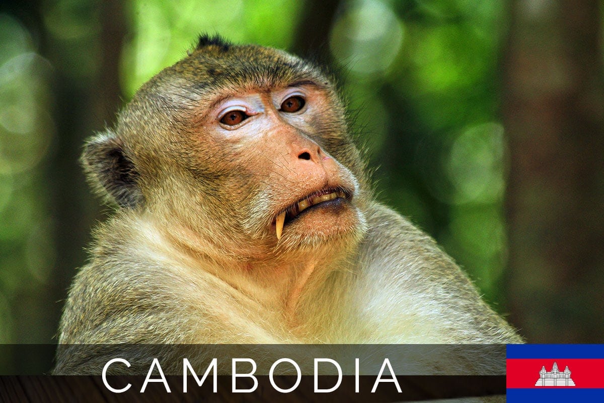 Cambodia Siem Reap Blog Post
