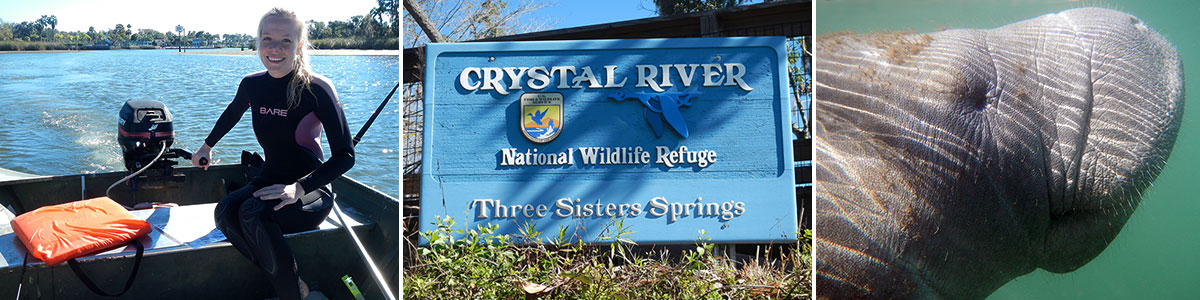 Crystal River National Wildlife Refuge: Kings Bay Manatee Refuge 