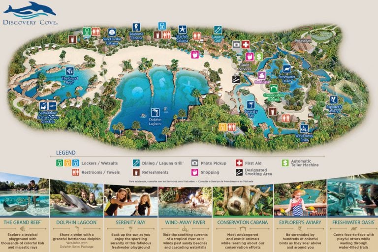 Orlando Swim with dolphins at Discovery Cove Water Park (USA)