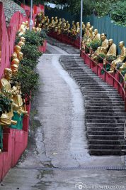 The Steps to Ten Thousand Buddhas Monastery