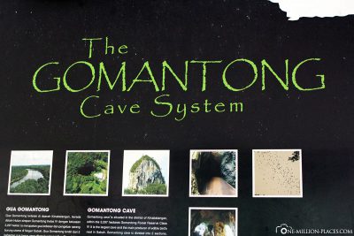 Die Gomantong-Höhlen auf Borneo