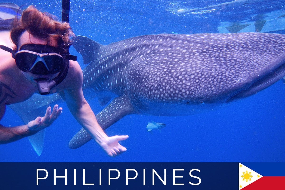 Philippines Whale Sharks Blog Post