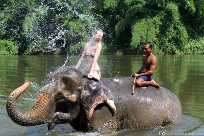 Bathing with elephants