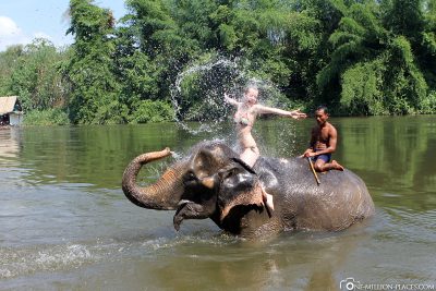 Mit Elefanten baden