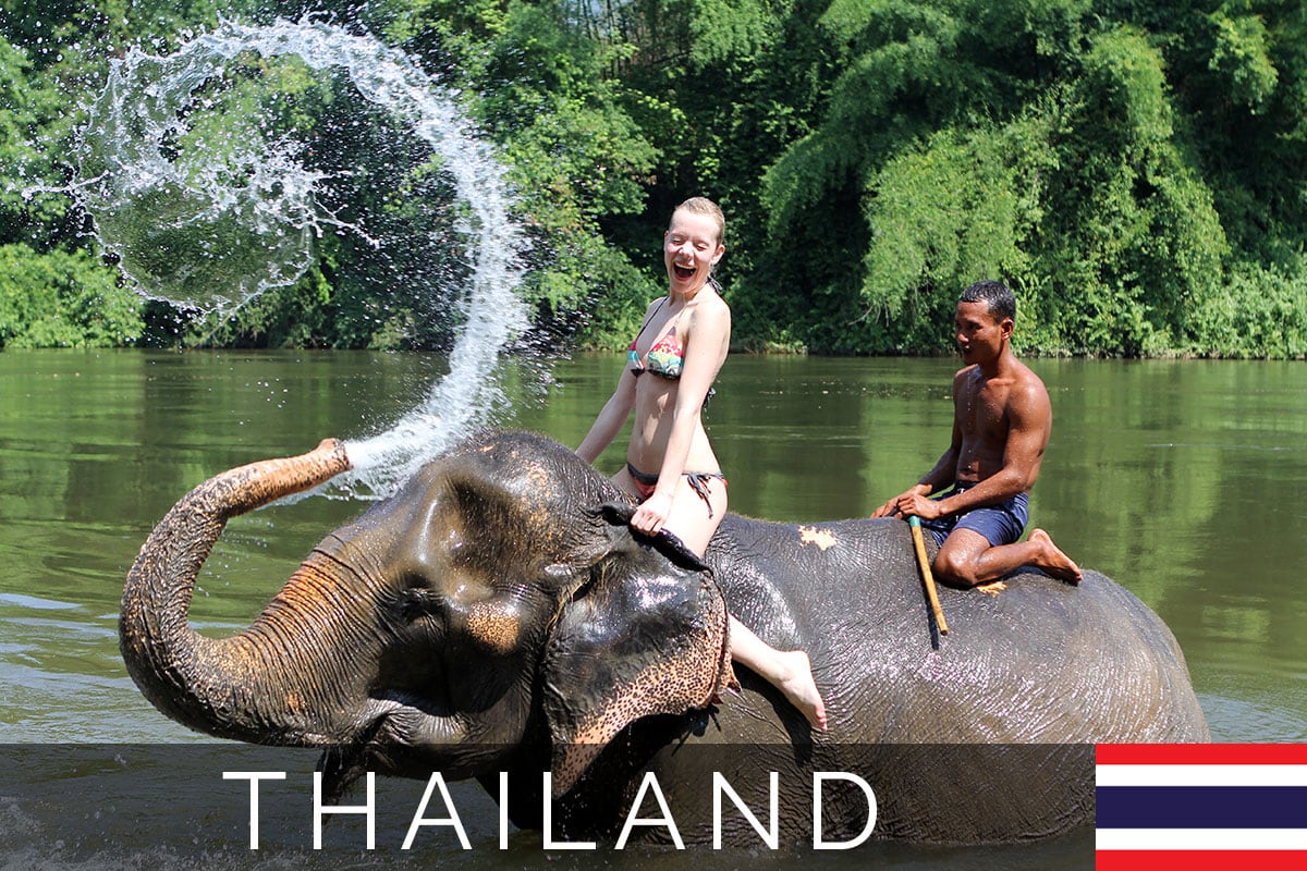 Bangkok elephants bathe cover
