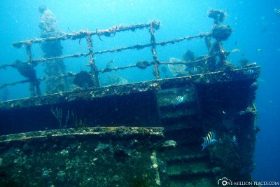 Diving at the shipwreck The Taw