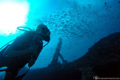 The underwater world of St. Kitts