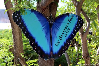 Die Butterfly Farm in St. Maarten