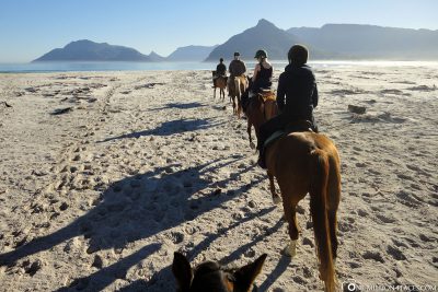 Riding on the beach in South Africa