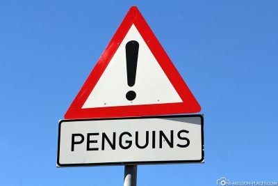 Vorsicht vor Pinguinen