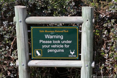 Vorsicht vor der Weiterfahrt zur Pinguin Kolonie