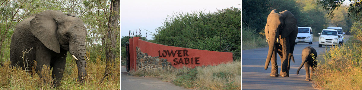 Lower