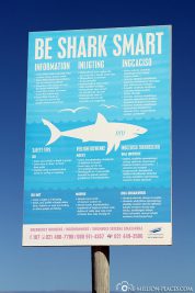 Warnung vor Weißen Haien