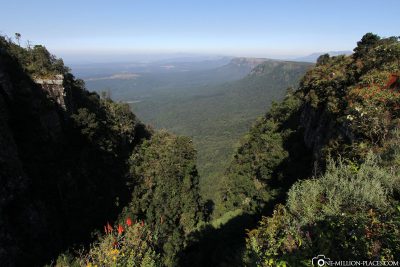 Die Panorama Route in Südafrika