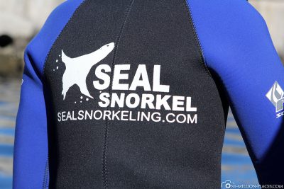 Seal Snorkeling