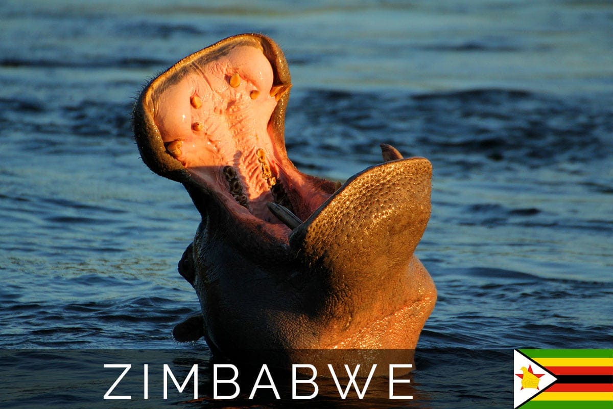 Zimbabwe Cruise Blog Post