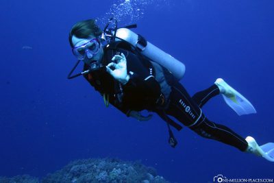 Diving in Marsa Alam