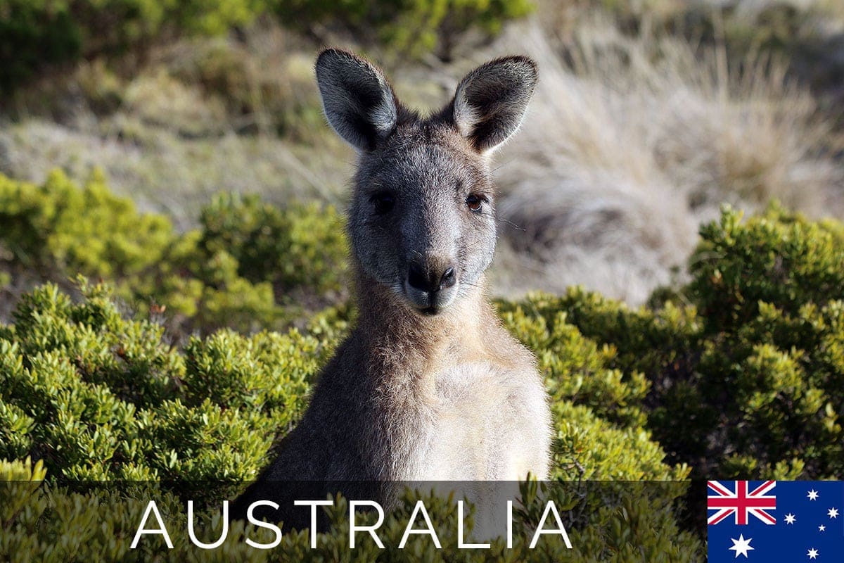 Australia Cape Bridgewater Blog Post