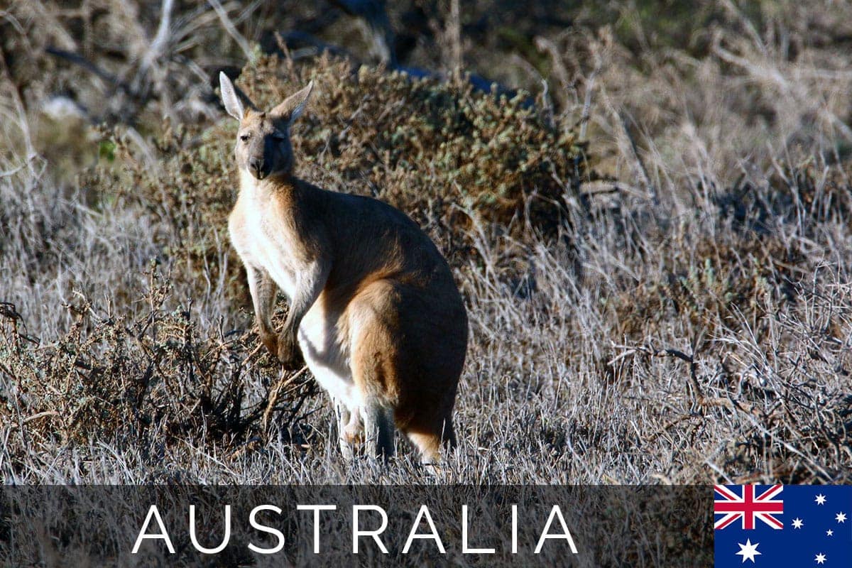 Australia Cape Range Blog Post