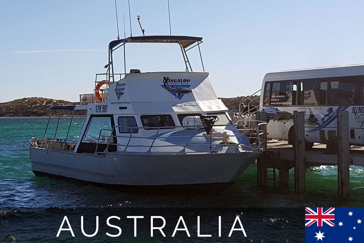Australia Ningaloo Diving Blog Post