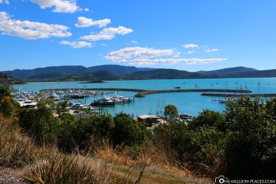 View of the port of Airlie Beach