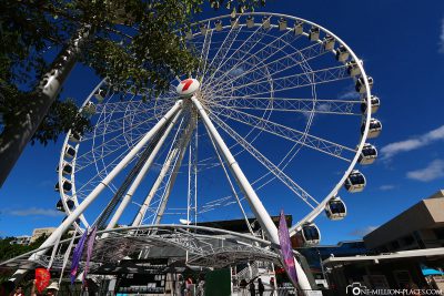 The Wheel Of Brisbane