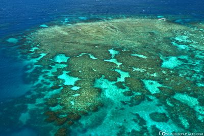 Rundflug über das Great Barrier Reef