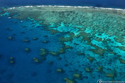 Sightseeing flight over the Great Barrier Reef