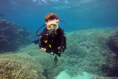 Diving on the Great Barrier Reef