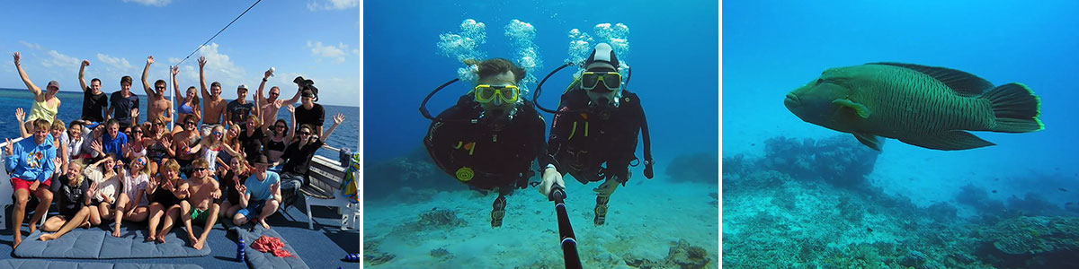 (Australien) - Eine Great am Cairns Reef Tauchkreuzfahrt Barrier