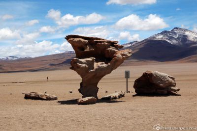 The tree of stone in Bolivia