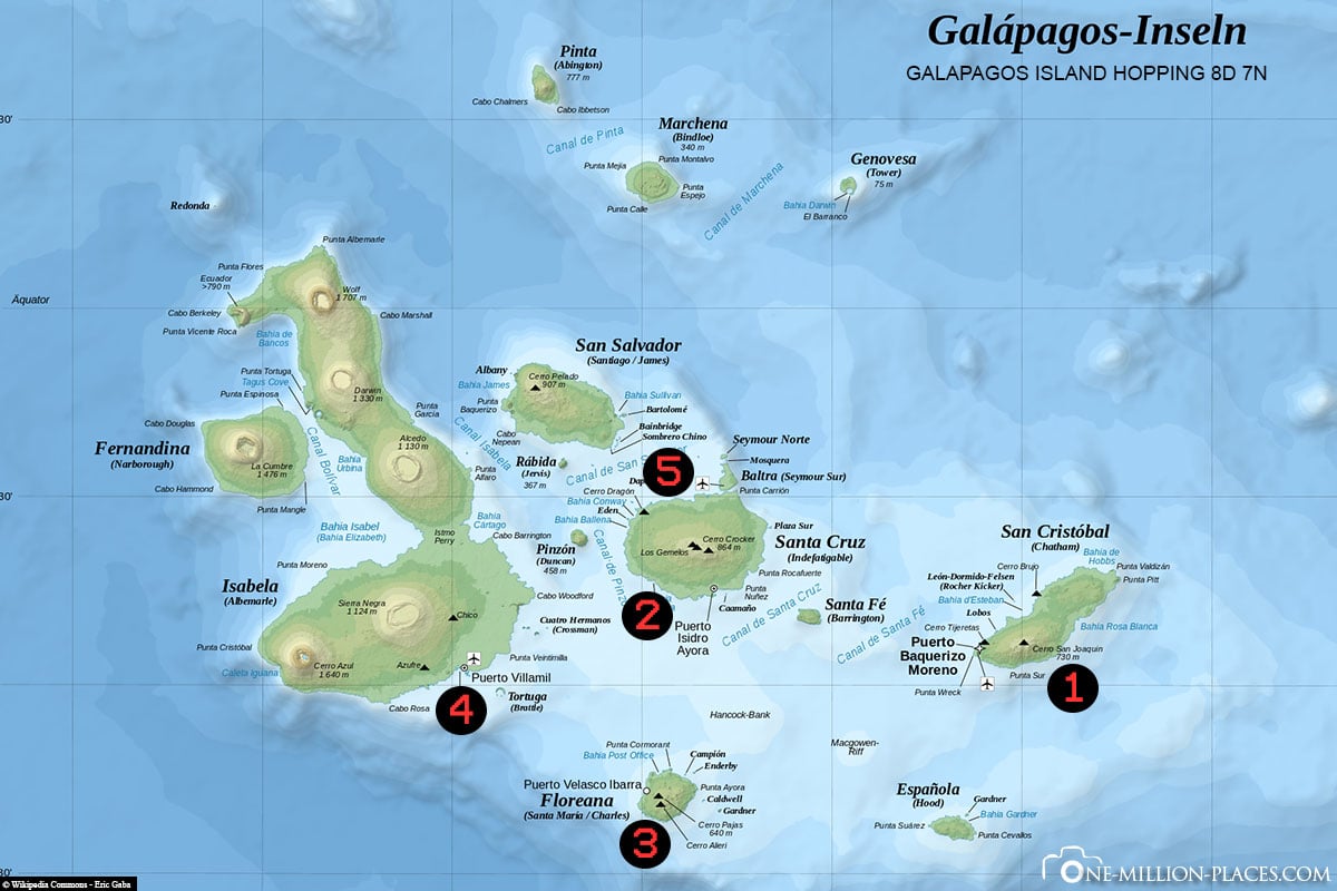 8 Tage Galapagos Inselhüpfen, Galapagos, Ecuador, Rundreise, Tierwelt, Reisebericht