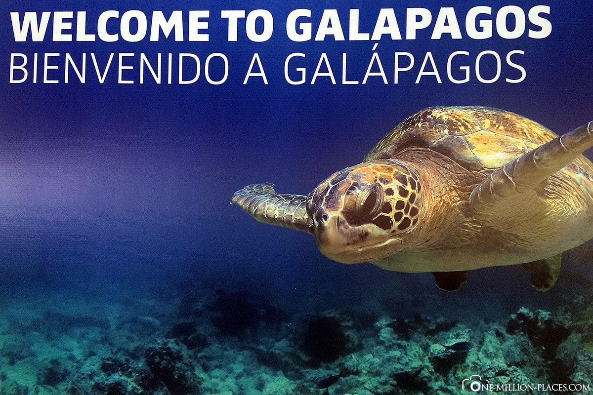 Insel San Christobal, Galapagos, Ecuador, Rundreise, Tierwelt, Reisebericht