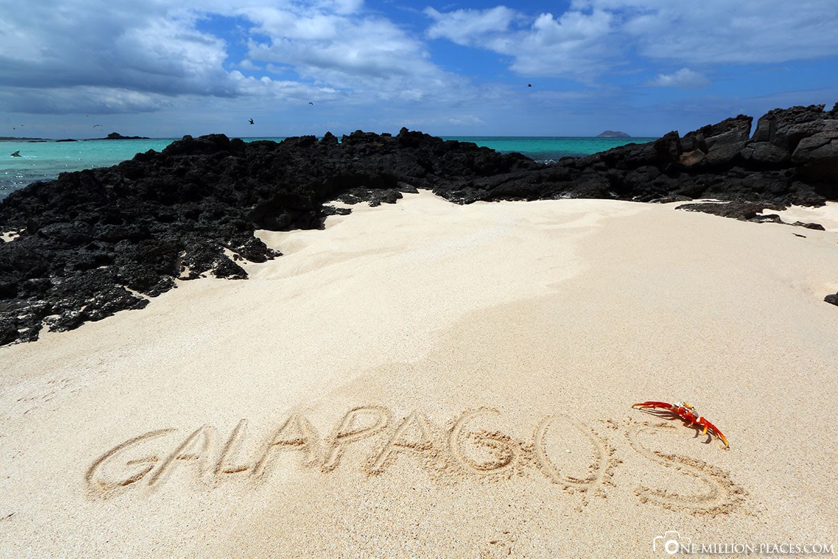 Beach, Bachas Beach, Santa Cruz Island, Galapagos, Ecuador, Wildlife, South America, Day Trip, Travel Report